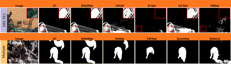Introduction to BiRefNet