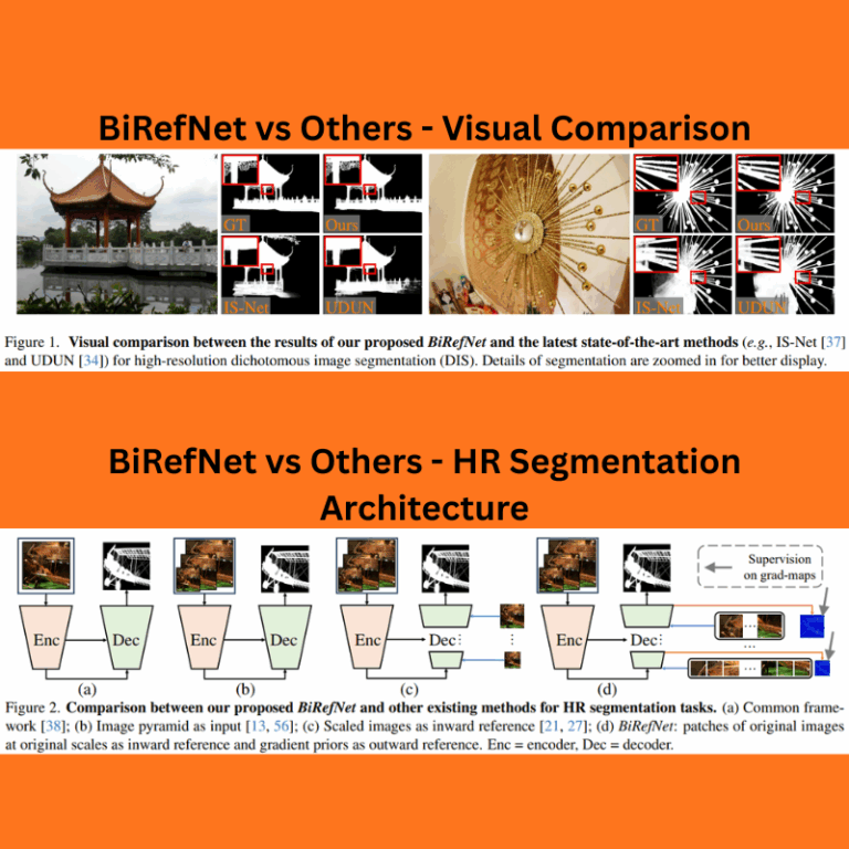Introduction to BiRefNet