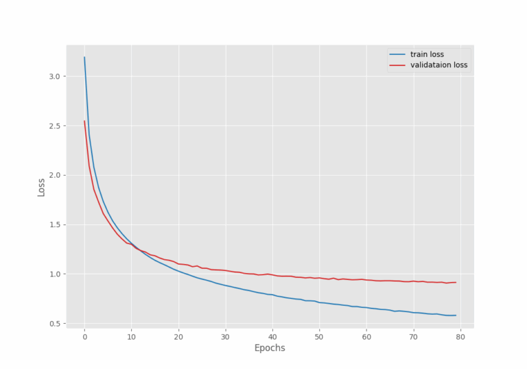 Image Classification with DINOv3