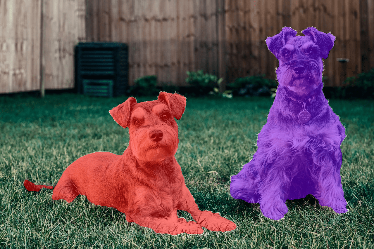 Segmenting multiple objects belonging to the same category with SAM 3 UI.