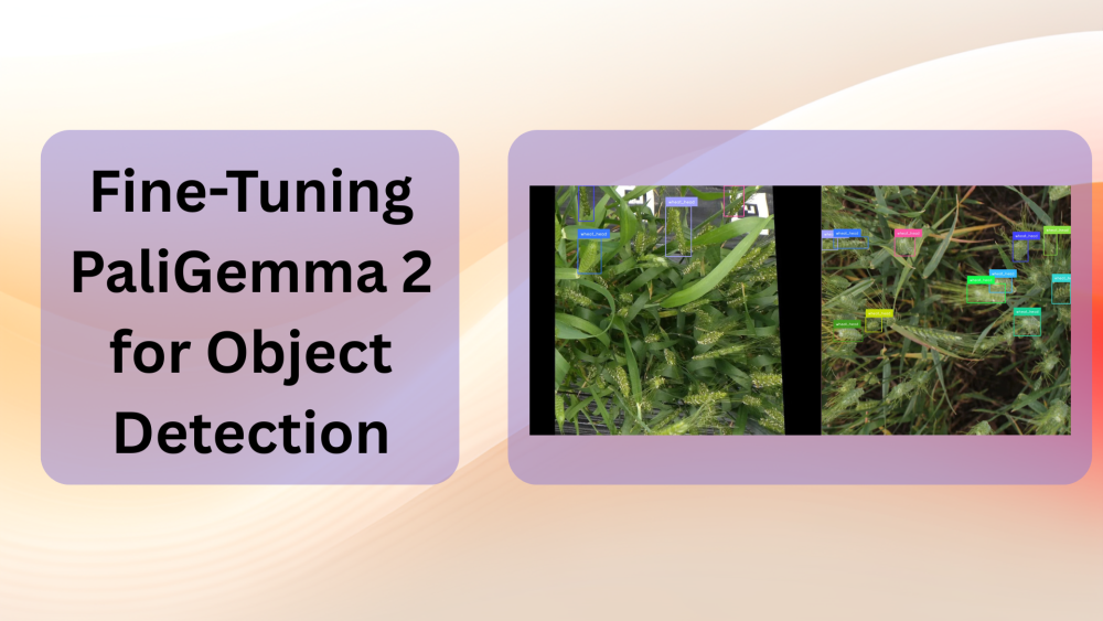 Fine-Tuning PaliGemma 2 for Object Detection