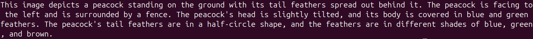 Response from Amazon Bedrock image chat.